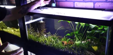 How long to leave aquarium lights on planted tank