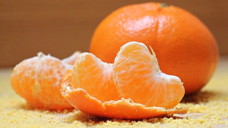 Can dog eat mandarin orange