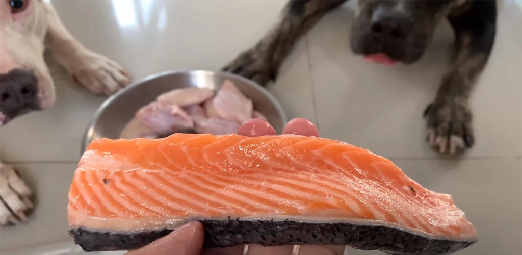 Can dogs eat salmon skin