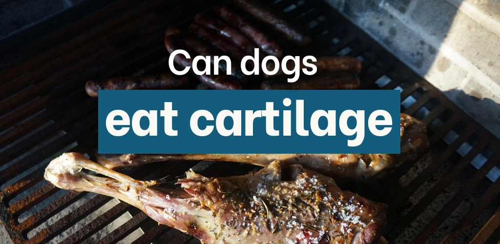 Can dogs eat cartilage