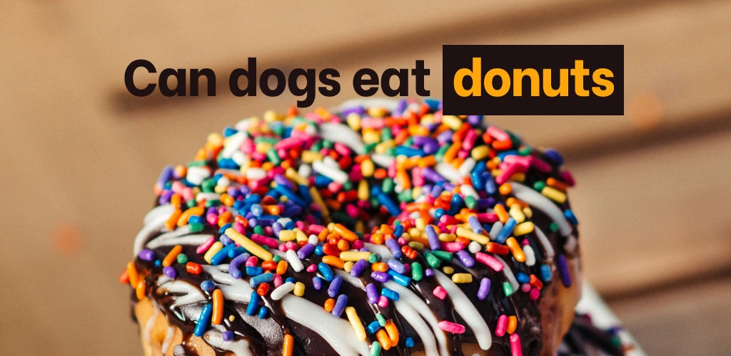 Can dogs eat donuts