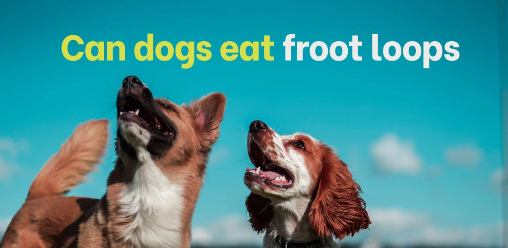 Can dogs eat froot loops