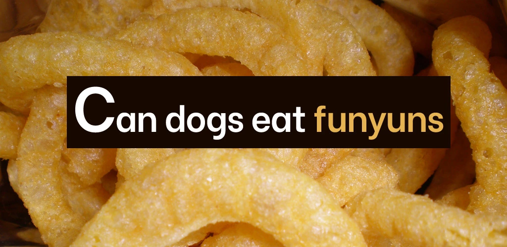 Can dogs eat funyuns