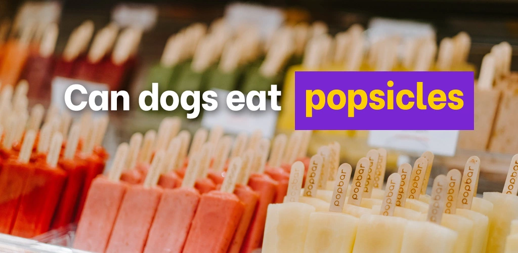 Can dogs eat popsicles