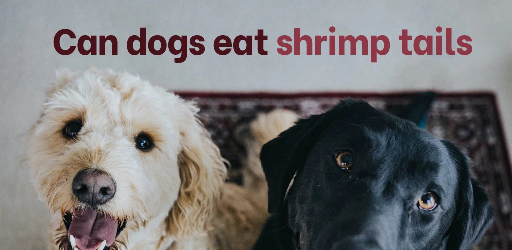 Can dogs eat shrimp tails