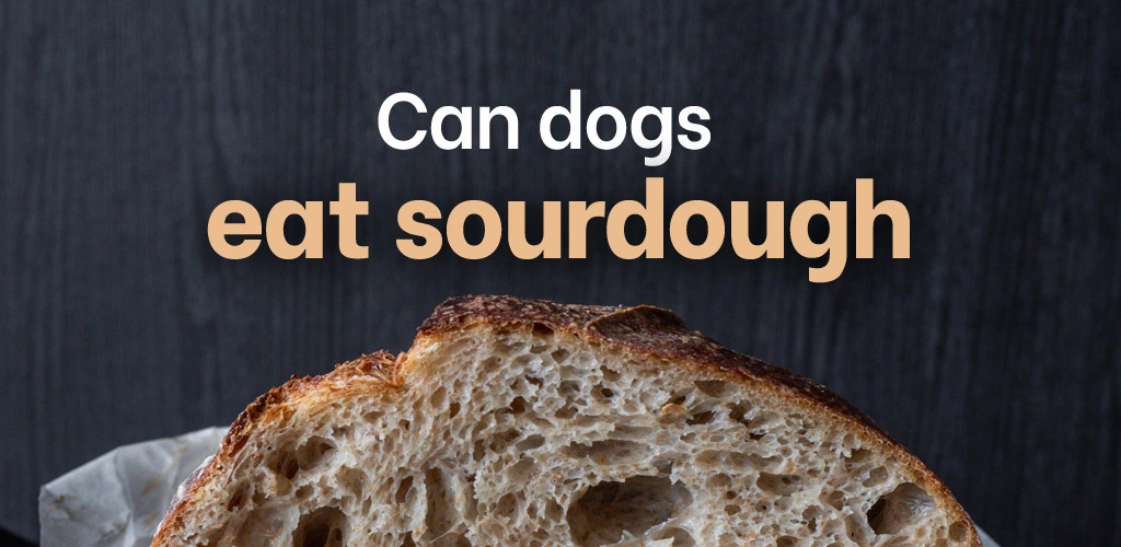 bad food for pups is sourdough bread bad for dogs