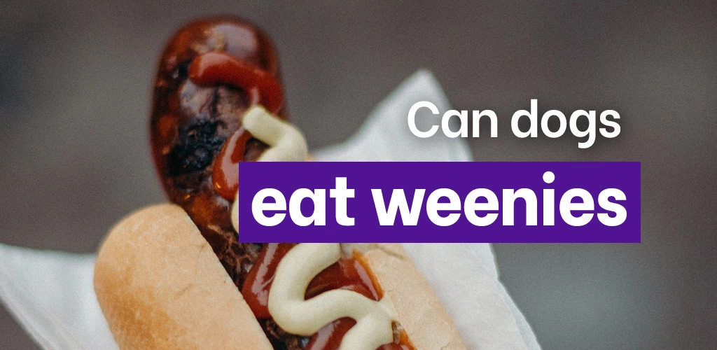 Can dogs eat weenies