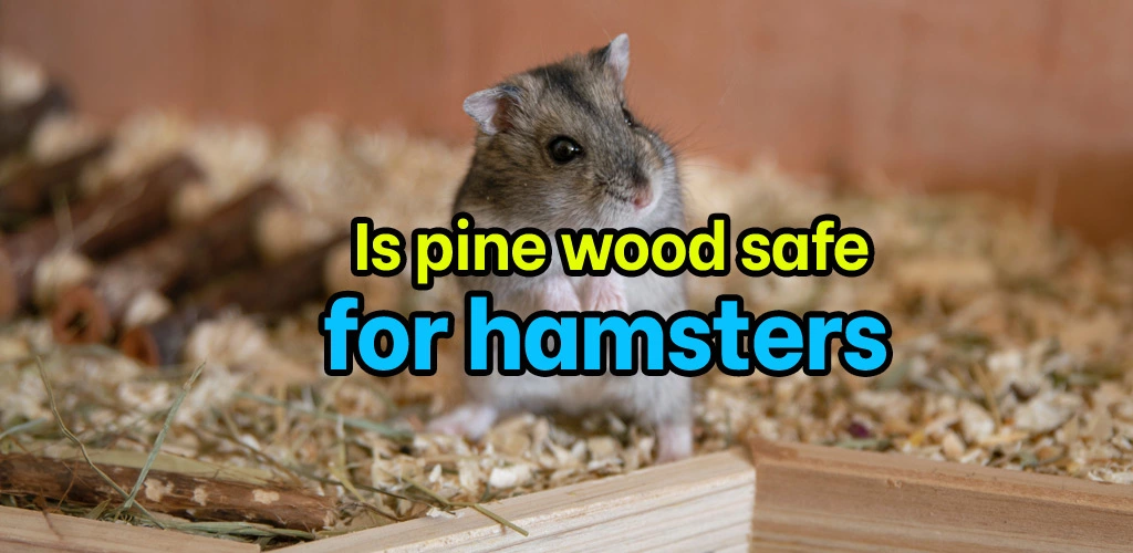 Is pine wood safe for hamsters