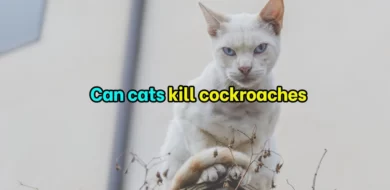 Can cats kill cockroaches