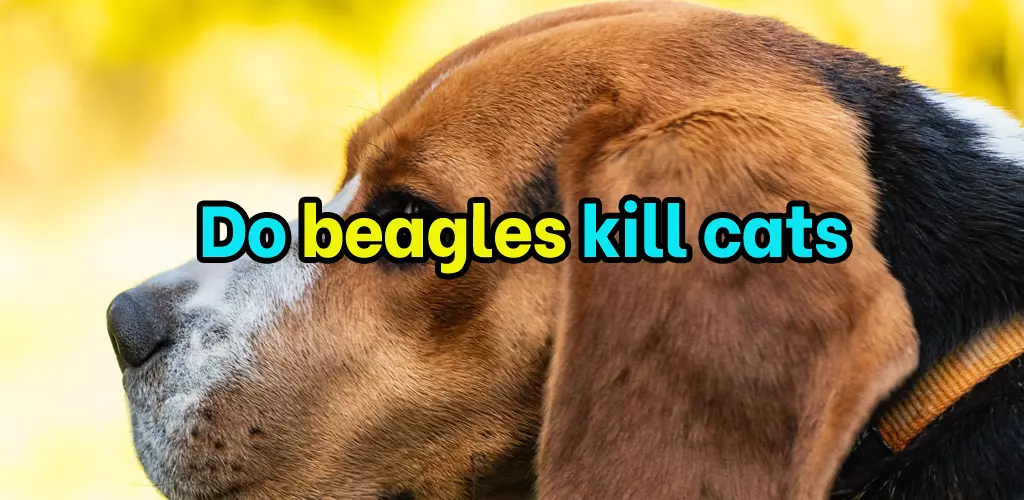 Do beagles kill cats