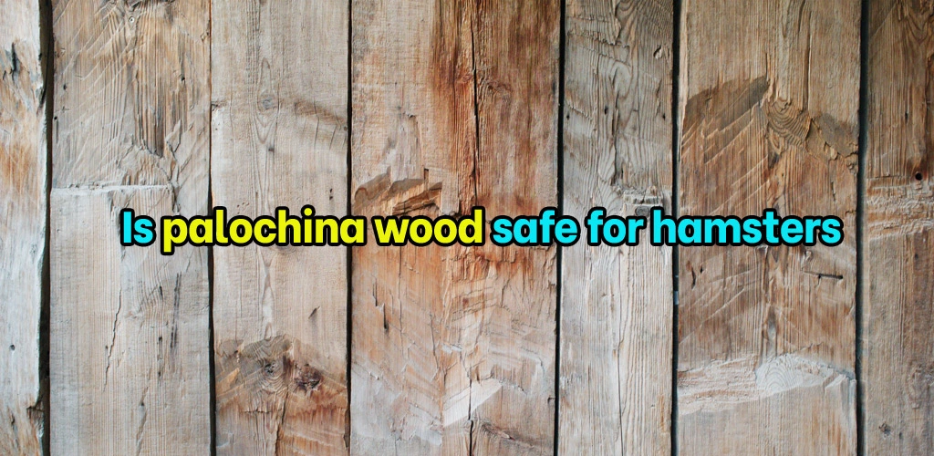 Is palochina wood safe for hamsters