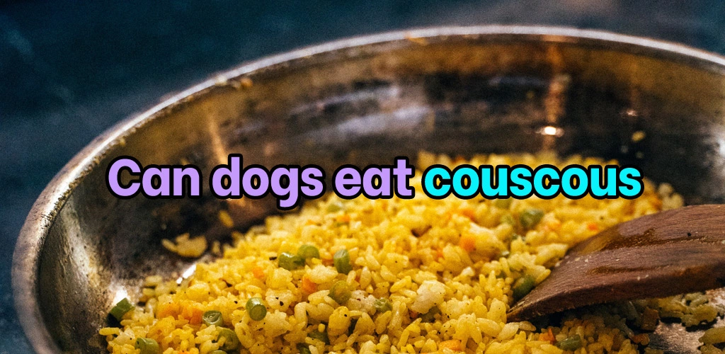 Can dogs eat couscous