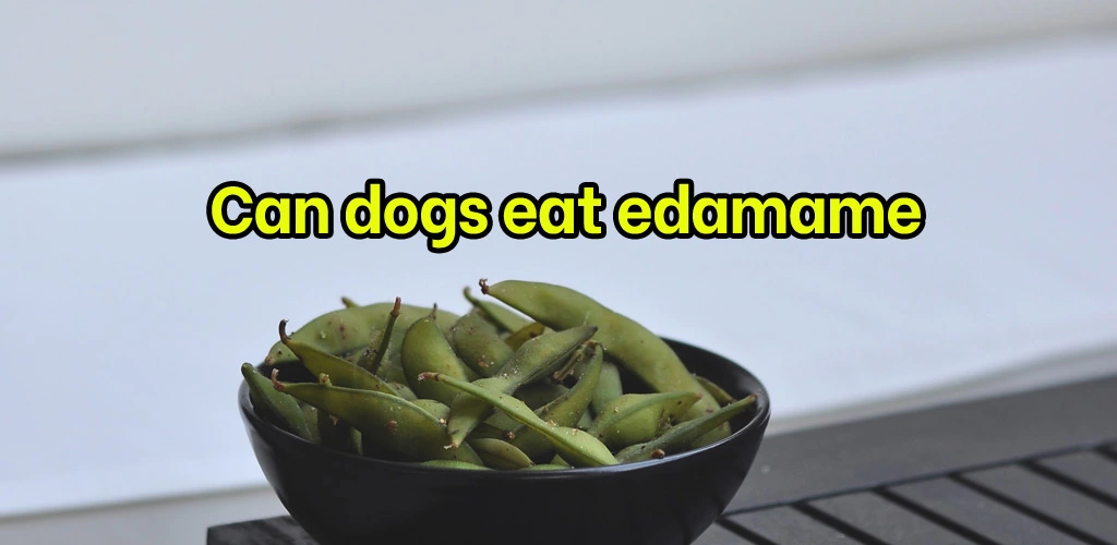 Can dogs eat edamame