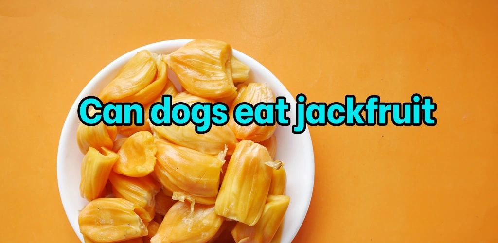 Can dogs eat jackfruit