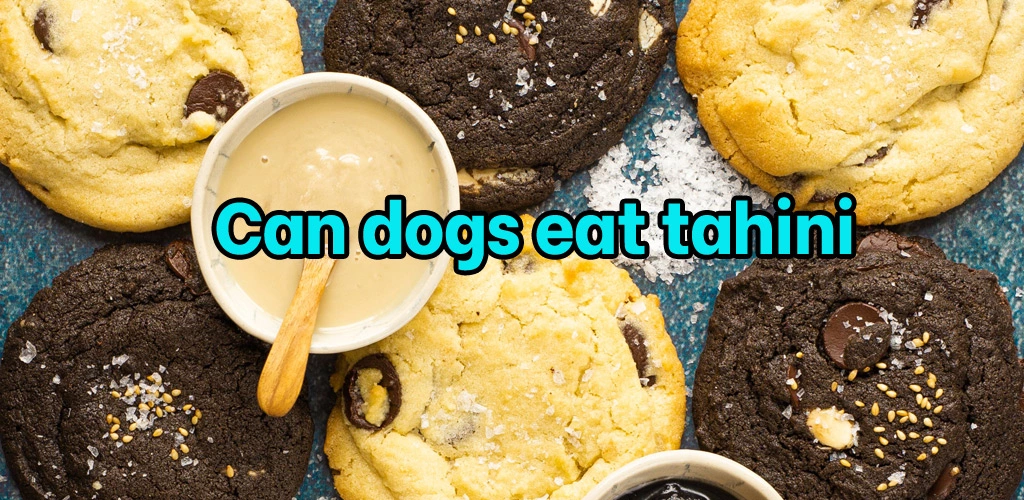 Can dogs eat tahini
