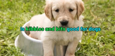 Is kibbles and bits good for dogs