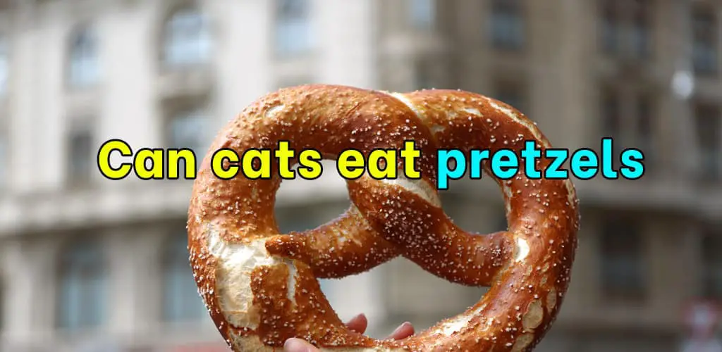 Can cats eat pretzels
