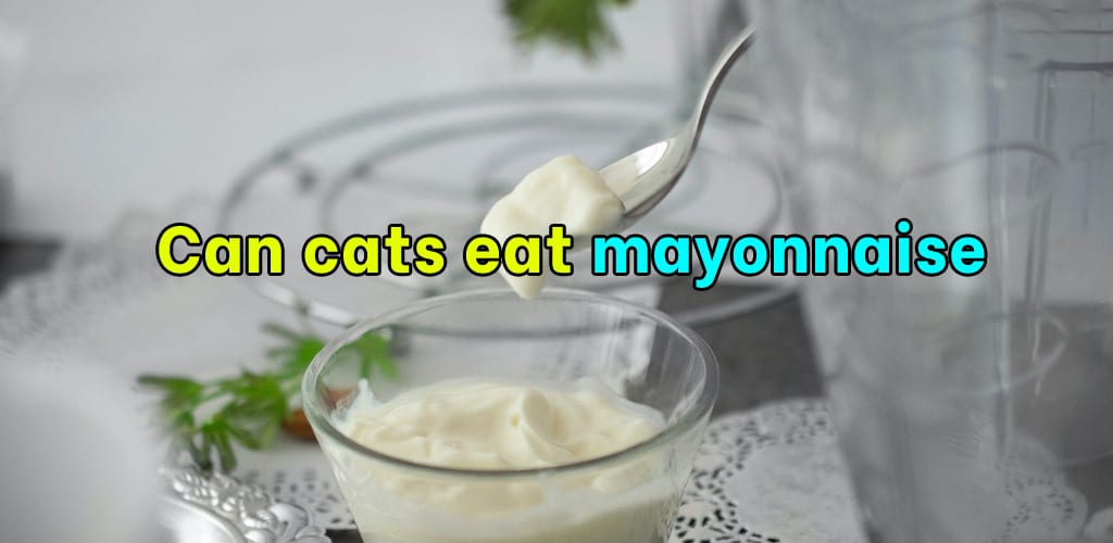 Can cats eat mayonnaise